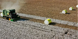 阿塞拜疆预测2030年前农业产值将每年增长4%