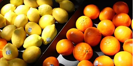 智利柑橘类水果获准进入墨西哥市场