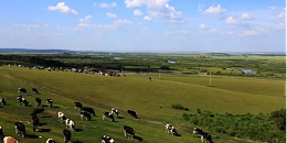 中国农业农村部：中方欢迎俄滨海边疆区优质农畜产品输华并鼓励双方开展农业合作