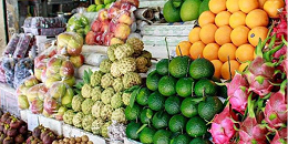 越南水果进口规则将改变！边贸将逐步减少直至取消