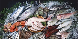 今年一季度韩国进口俄罗斯海产品数量同比减少21%