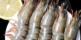 越南虾占据韩国最高市场份额