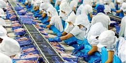 越南水海产品出口顺利到达终点