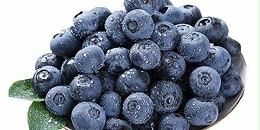 海关更新赞比亚蓝莓进口要求，放宽冷处理条件