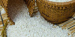越南将成为印尼的主要大米供应国