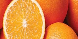 Ascenza在巴西推出杀菌剂Cuprital 700(氧氯化铜) 防治柑橘溃疡病