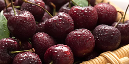 智利对华车厘子营销活动获英国大奖