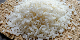 越南稻米产业公私伙伴关系工作组正式成立