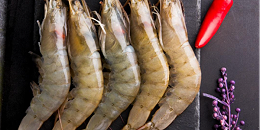 厄瓜多尔虾将进一步扩大对中国的出口