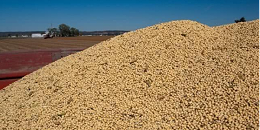 俄动植物检验检疫局：俄犹太自治州2023年前3个月已对华出口大豆3.64万吨