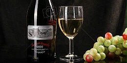 第六届中国葡萄酒发展峰会获奖名单公布 烟台葡萄酒产区再获佳绩