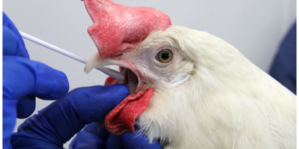 微信截图_20230129100719