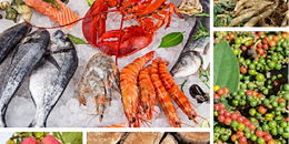 2022年：越南农林水产品出口再创新高