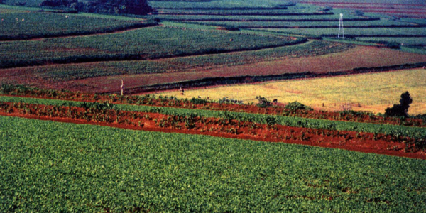 微信截图_20230129100454