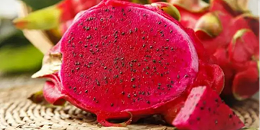 越南挖掘向澳大利亚和新西兰出口火龙果的新机遇