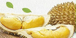 英国是越南榴莲的潜在出口市场