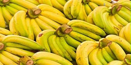 洪都拉斯香蕉等产品获准进入中国市场