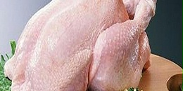 巴西：4月份鸡肉出口增长4%