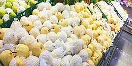 西班牙农食产品出口十年间翻倍增长