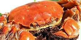 一家美国蟹类贸易商濒临退市