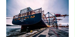 进口报关|海关总署公告2024年第122号（关于进口马拉维花生植物检疫要求的公告）