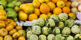 2023年第二季度越南蔬果出口可继续增长