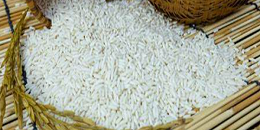 柬埔寨力争实现年出口大米100万吨