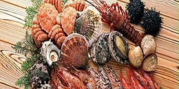 2021年美国人均海产品消费量20.5磅