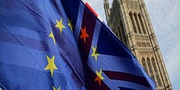 欧盟化学农药用量4年总体下降33% 有望2030年实现″从农场到餐桌″目标