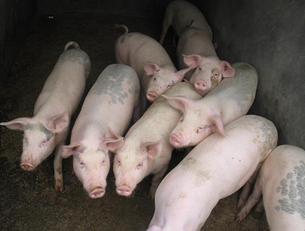 QQ截图20221224114048