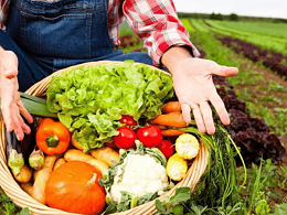 泰国上半年对华出口水果超100万吨