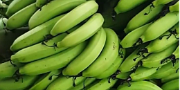 越南香蕉出口高速增长，出口潜力巨大